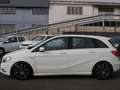 Mercedes-Benz B 180 B 180 cdi be Premium Bianco - thumbnail 5