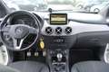 Mercedes-Benz B 180 B 180 cdi be Premium Bianco - thumbnail 12