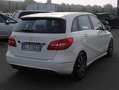 Mercedes-Benz B 180 B 180 cdi be Premium Bianco - thumbnail 3