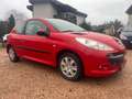 Peugeot 206 + Basis Rot - thumbnail 3