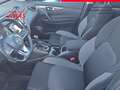 Nissan Qashqai 1,6 dCi Acenta Xtronic Aut. Braun - thumbnail 9