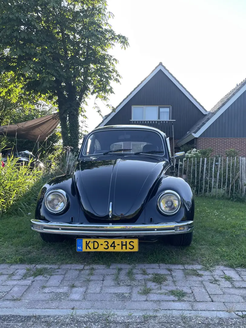 Volkswagen Kever Kever Winterkever Ice Blue Schwarz - 2