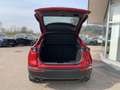 Mazda CX-30 e-Skyactive G140 Homura Aut. Rot - thumbnail 10