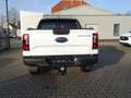 Ford Ranger Wildtrak e-4WD Doppelkabine Blanc - thumbnail 5
