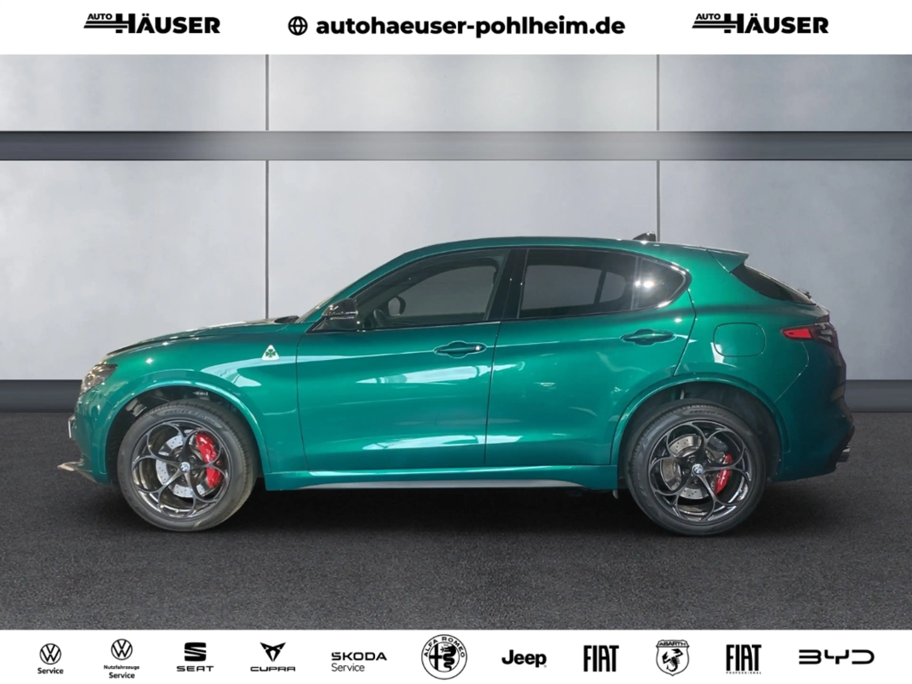Alfa Romeo Stelvio Quadrifoglio Q4 2.9 V6 Bi-turbo PANO HARMAN-KARDON — photo 3