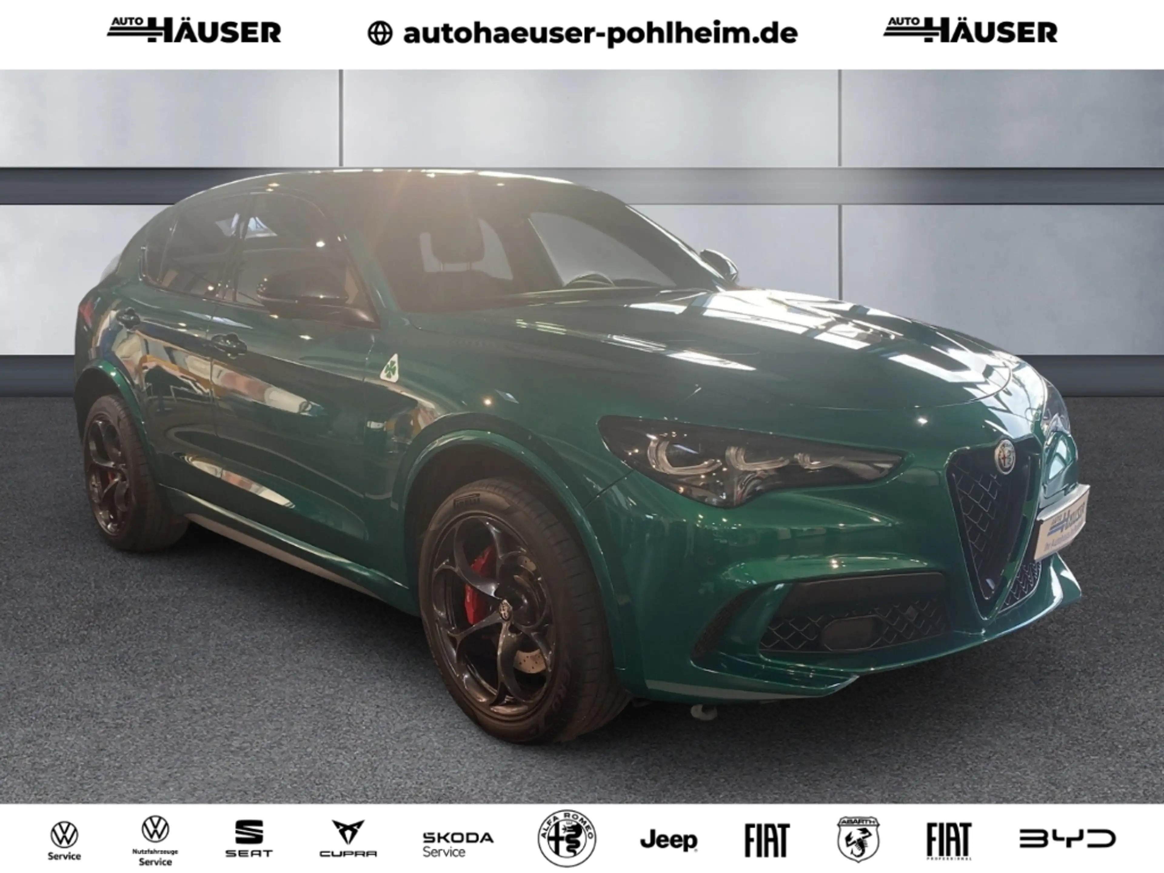Alfa Romeo Stelvio Quadrifoglio Q4 2.9 V6 Bi-turbo PANO HARMAN-KARDON — photo 6