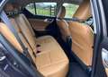 Lexus CT 200h Prestige ! Noir - thumbnail 7