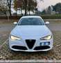 Alfa Romeo Giulia 2.2 t Business Sport Launch Edition 180cv auto Bianco - thumbnail 1
