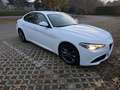 Alfa Romeo Giulia 2.2 t Business Sport Launch Edition 180cv auto Bianco - thumbnail 4
