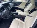 Lexus ES 300 ES 300h 2.5 Luxury cvt Blu/Azzurro - thumbnail 9