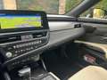 Lexus ES 300 ES 300h 2.5 Luxury cvt Blu/Azzurro - thumbnail 8