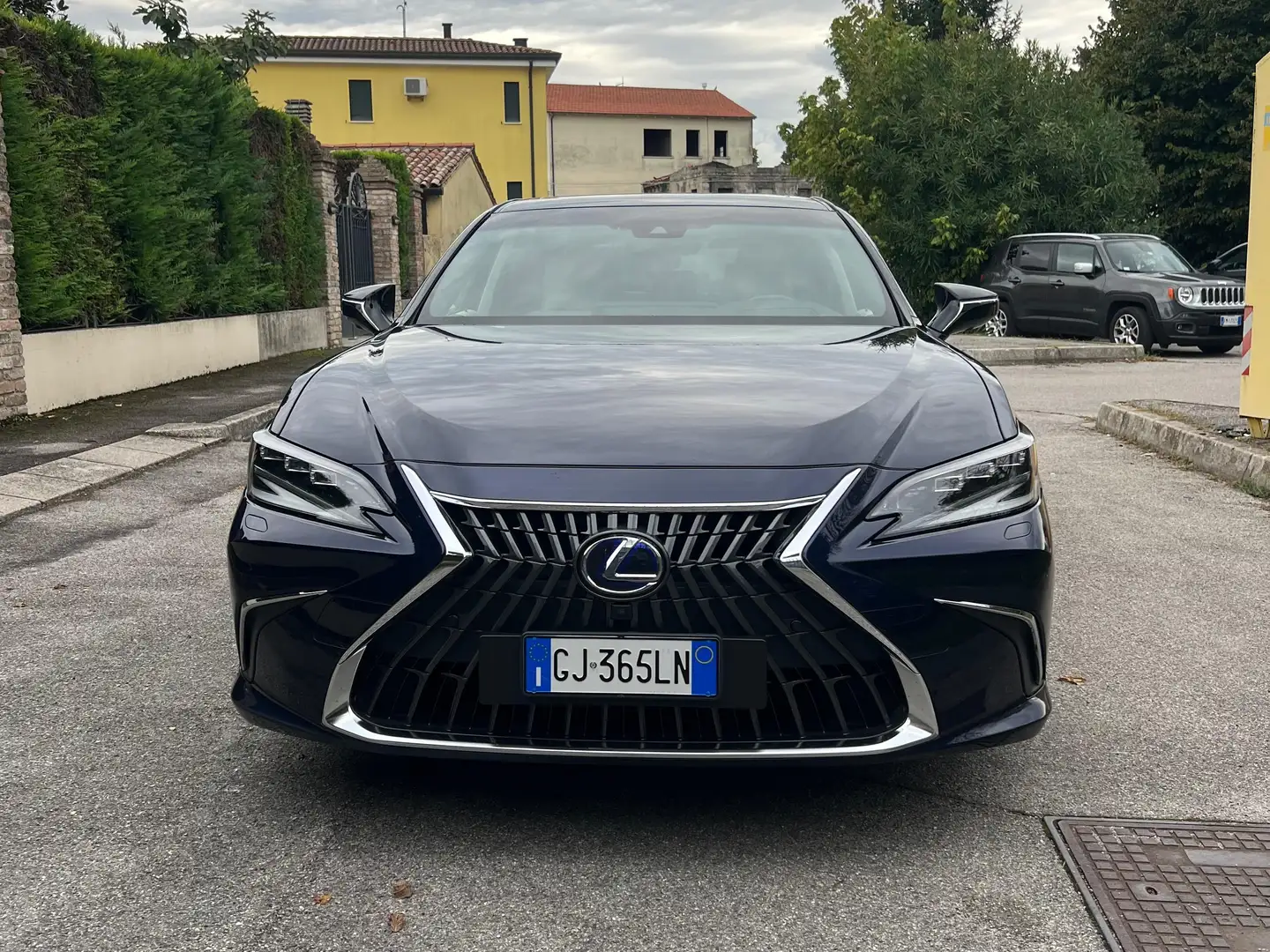 Lexus ES 300 ES 300h 2.5 Luxury cvt Blu/Azzurro - 1