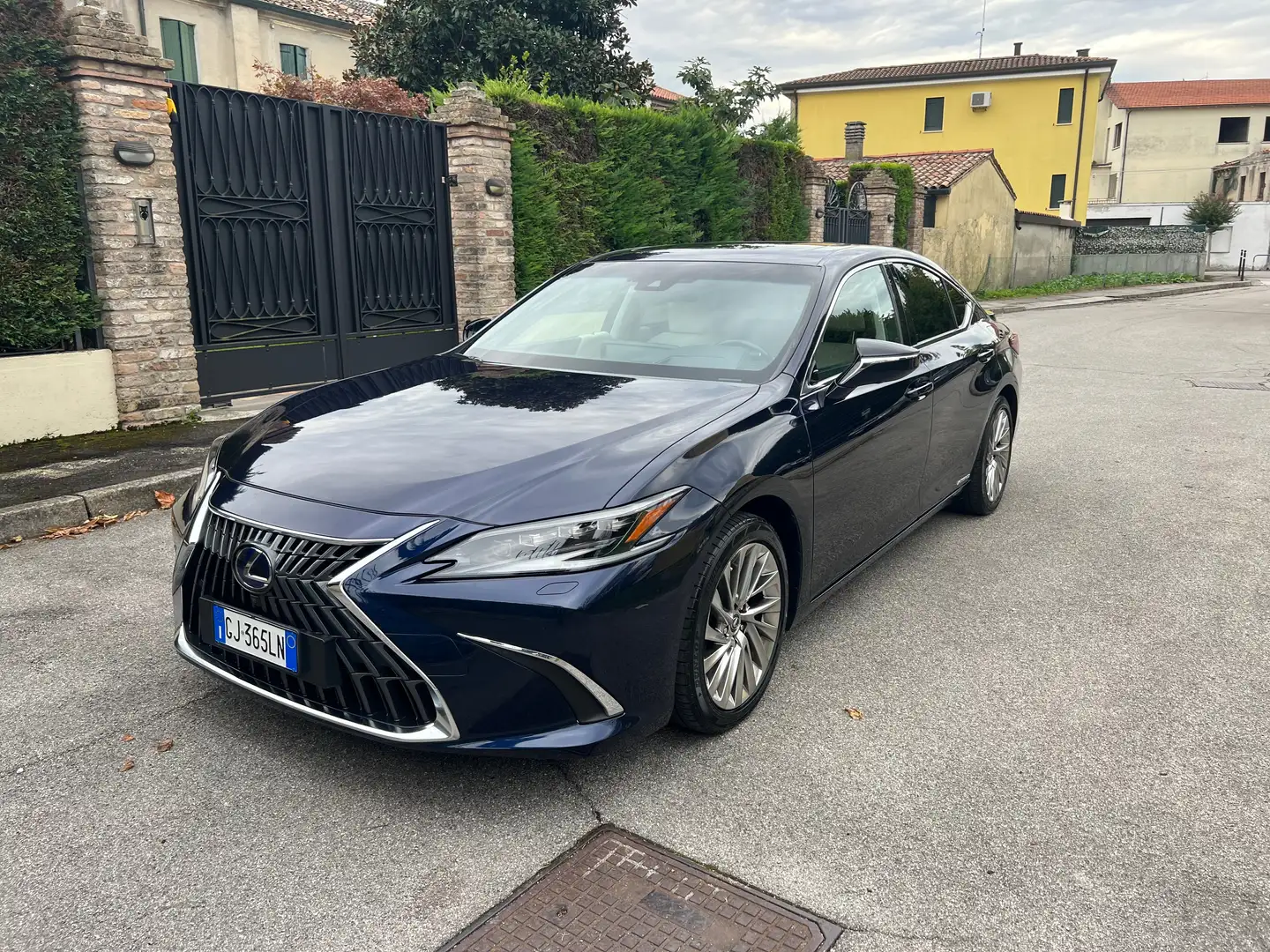 Lexus ES 300 ES 300h 2.5 Luxury cvt Blu/Azzurro - 2