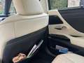 Lexus ES 300 ES 300h 2.5 Luxury cvt Blu/Azzurro - thumbnail 12