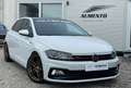 Volkswagen Polo GTI 5p 2.0 tsi 200cv dsg - thumbnail 2