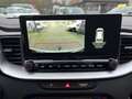 Kia Ceed SW / cee'd SW 1.6 CRDi MHEV Business Line 1er proprio carnet Grau - thumbnail 17