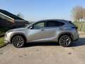 Lexus NX 300h AWD F Sport Line | NAVIGATIE | KEYLESS ENTRY | LED Gris - thumbnail 19