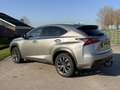 Lexus NX 300h AWD F Sport Line | NAVIGATIE | KEYLESS ENTRY | LED Gris - thumbnail 20