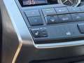 Lexus NX 300h AWD F Sport Line | NAVIGATIE | KEYLESS ENTRY | LED Gris - thumbnail 42