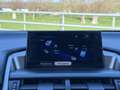 Lexus NX 300h AWD F Sport Line | NAVIGATIE | KEYLESS ENTRY | LED Gris - thumbnail 38