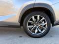 Lexus NX 300h AWD F Sport Line | NAVIGATIE | KEYLESS ENTRY | LED Gris - thumbnail 3