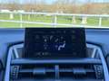 Lexus NX 300h AWD F Sport Line | NAVIGATIE | KEYLESS ENTRY | LED Gris - thumbnail 39