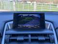 Lexus NX 300h AWD F Sport Line | NAVIGATIE | KEYLESS ENTRY | LED Gris - thumbnail 14