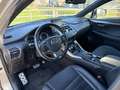 Lexus NX 300h AWD F Sport Line | NAVIGATIE | KEYLESS ENTRY | LED Gris - thumbnail 24