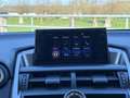 Lexus NX 300h AWD F Sport Line | NAVIGATIE | KEYLESS ENTRY | LED Gris - thumbnail 35