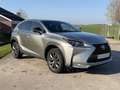 Lexus NX 300h AWD F Sport Line | NAVIGATIE | KEYLESS ENTRY | LED Gris - thumbnail 9
