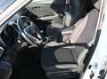 SsangYong Tivoli Tivoli 1,6 2WD Austria Edition Austria Edition Weiß - thumbnail 7