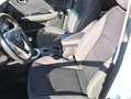 SsangYong Tivoli Tivoli 1,6 2WD Austria Edition Austria Edition Weiß - thumbnail 5