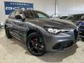 Alfa Romeo Stelvio 2.2 Td 210CV Q4 Veloce/TETTO APR./"21 COMPETIZIONE Grigio - thumbnail 3