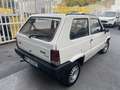 Fiat Panda Panda young Bianco - thumbnail 4