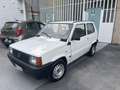 Fiat Panda Panda young Bianco - thumbnail 1