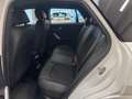 Audi Q2 35 Tfsi S Line Edition S-Tronic 150CV NEW MODEL Bianco - thumbnail 9