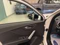 Audi Q2 35 Tfsi S Line Edition S-Tronic 150CV NEW MODEL Bianco - thumbnail 8
