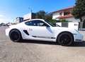 Porsche Cayman Cayman 2.9 livrea R * CERCHI DA 19' * Bianco - thumbnail 5