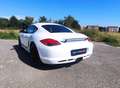 Porsche Cayman Cayman 2.9 livrea R * CERCHI DA 19' * Bianco - thumbnail 6
