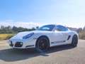 Porsche Cayman Cayman 2.9 livrea R * CERCHI DA 19' * Bianco - thumbnail 1