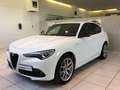 Alfa Romeo Stelvio Stelvio 2.2 Turbodiesel 210 CV AT8 Q4 Veloce MY22 Bianco - thumbnail 3