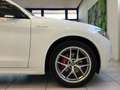 Alfa Romeo Stelvio Stelvio 2.2 Turbodiesel 210 CV AT8 Q4 Veloce MY22 Bianco - thumbnail 9