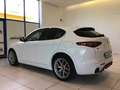 Alfa Romeo Stelvio Stelvio 2.2 Turbodiesel 210 CV AT8 Q4 Veloce MY22 Bianco - thumbnail 6