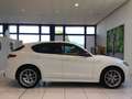 Alfa Romeo Stelvio Stelvio 2.2 Turbodiesel 210 CV AT8 Q4 Veloce MY22 Bianco - thumbnail 2