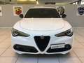 Alfa Romeo Stelvio Stelvio 2.2 Turbodiesel 210 CV AT8 Q4 Veloce MY22 Bianco - thumbnail 4
