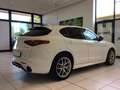 Alfa Romeo Stelvio Stelvio 2.2 Turbodiesel 210 CV AT8 Q4 Veloce MY22 Bianco - thumbnail 8