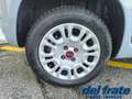 Fiat Panda III 1.2 8v 69Cv Easy 5 posti Grau - thumbnail 19