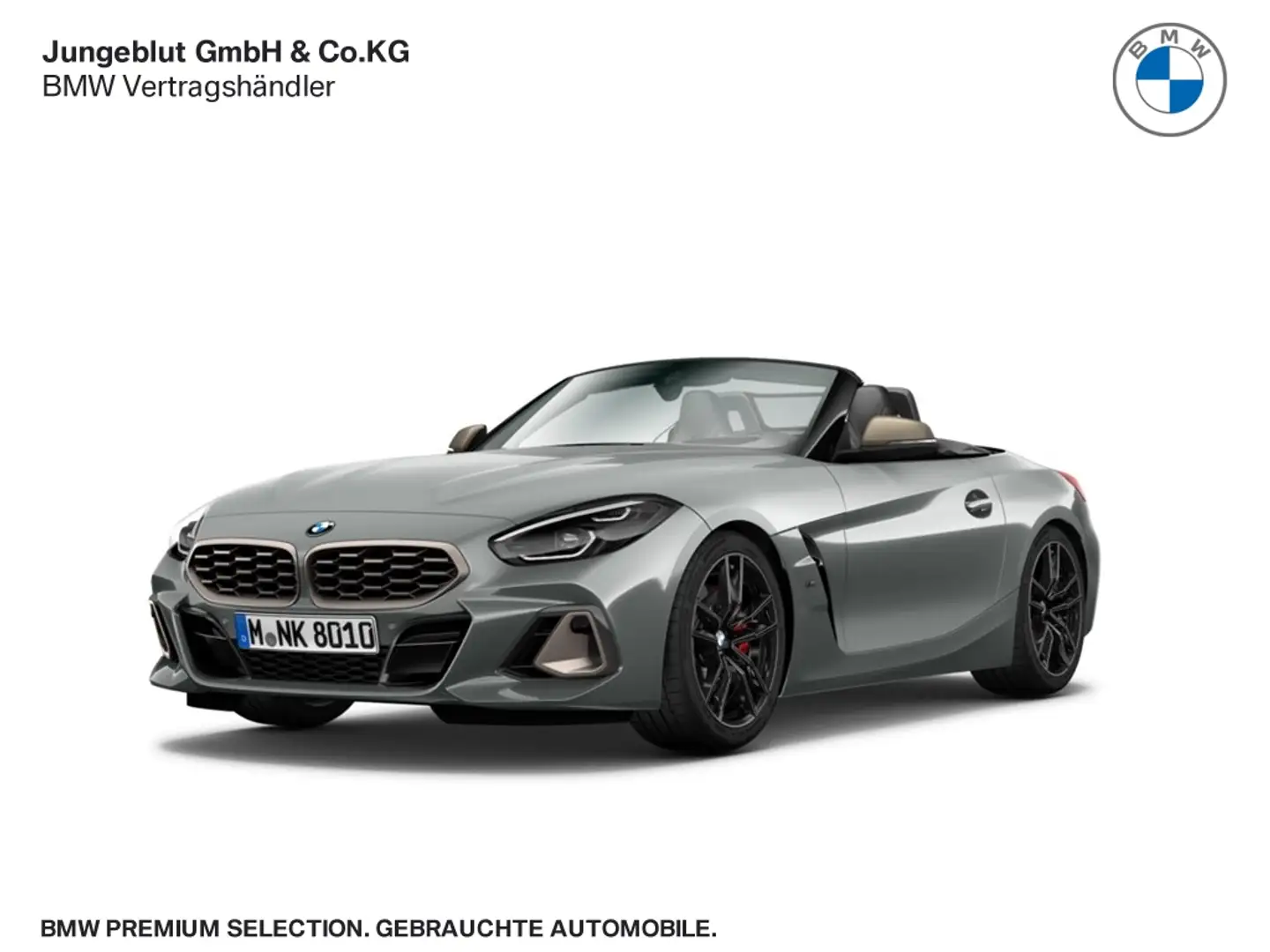 BMW Z4 Park-Assist/19''LM/FernlAssist/HarmanKardon/LC pro Grau - 1
