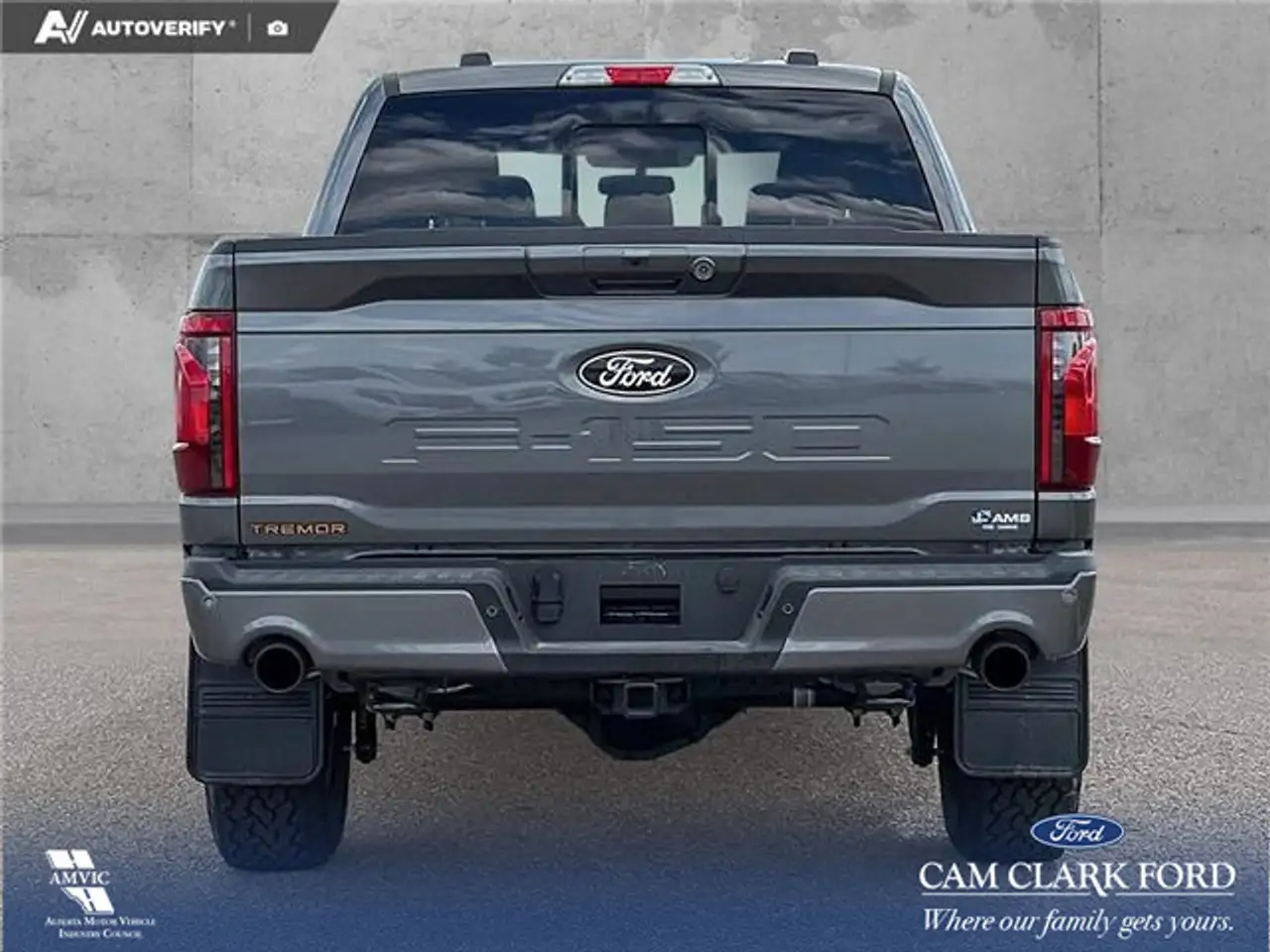 Ford F 150 fotografie Ford F 150
