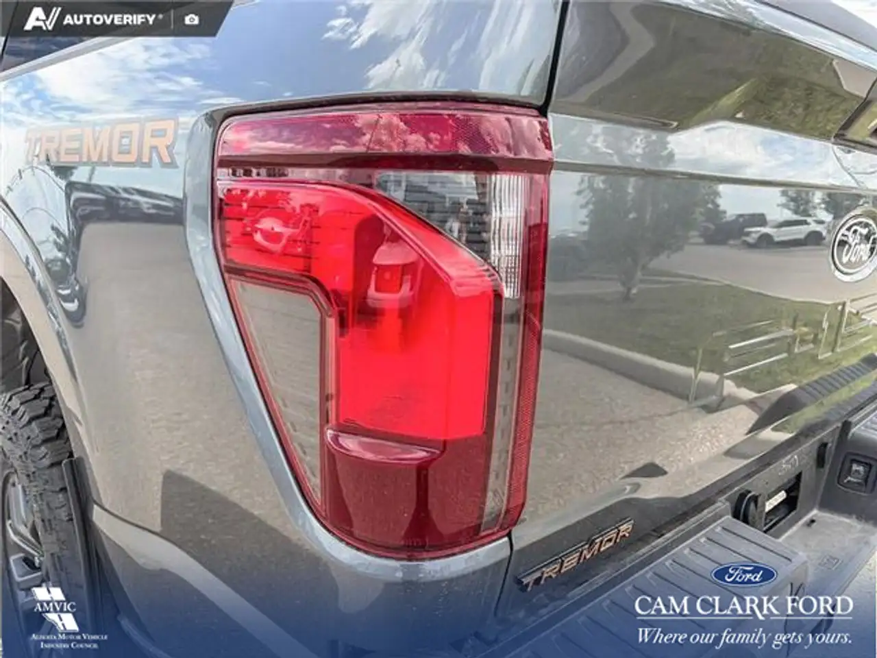 Ford F 150 fotografie Ford F 150